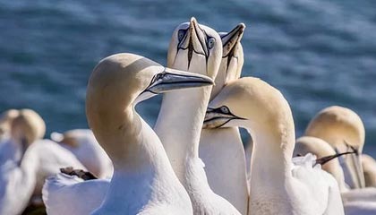 想长期使用花季传媒？先看看这篇：新手常犯错误盘点与避坑提示