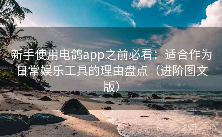 新手使用电鸽app之前必看：适合作为日常娱乐工具的理由盘点（进阶图文版）
