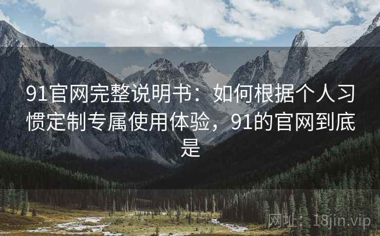 91官网完整说明书：如何根据个人习惯定制专属使用体验，91的官网到底是