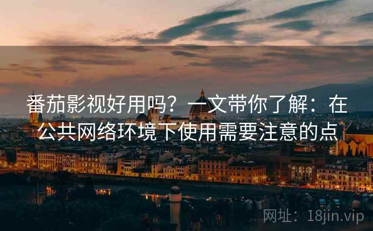 番茄影视好用吗？一文带你了解：在公共网络环境下使用需要注意的点