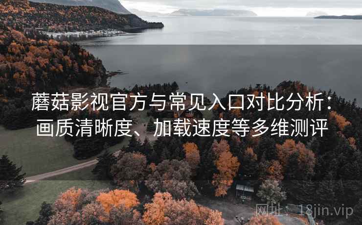 蘑菇影视官方与常见入口对比分析：画质清晰度、加载速度等多维测评