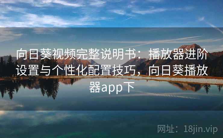 向日葵视频完整说明书：播放器进阶设置与个性化配置技巧，向日葵播放器app下