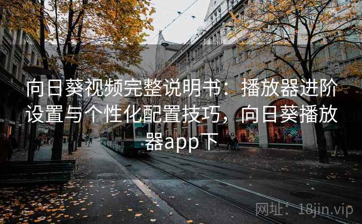 向日葵视频完整说明书：播放器进阶设置与个性化配置技巧，向日葵播放器app下