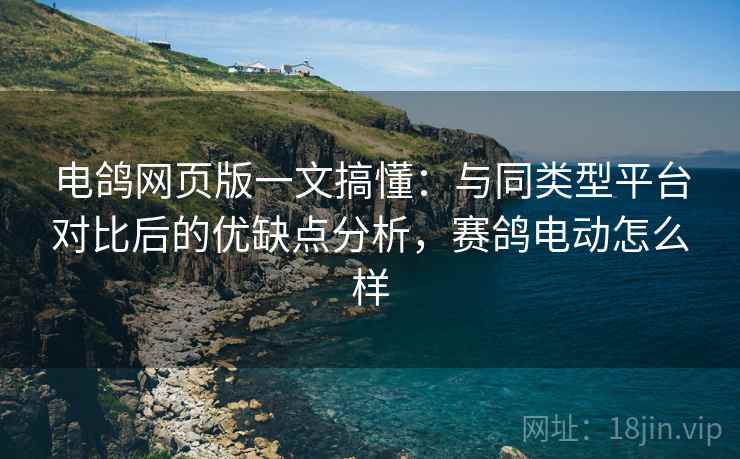 电鸽网页版一文搞懂：与同类型平台对比后的优缺点分析，赛鸽电动怎么样