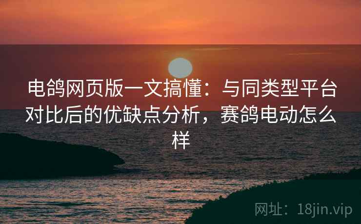 电鸽网页版一文搞懂：与同类型平台对比后的优缺点分析，赛鸽电动怎么样