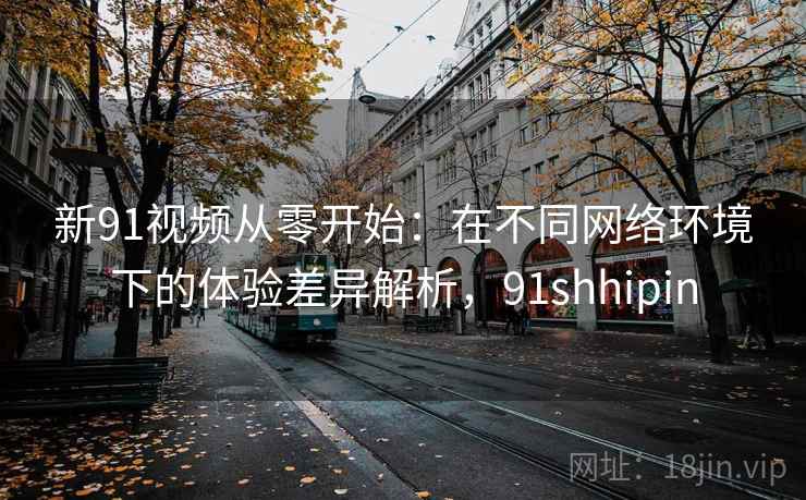 新91视频从零开始：在不同网络环境下的体验差异解析，91shhipin