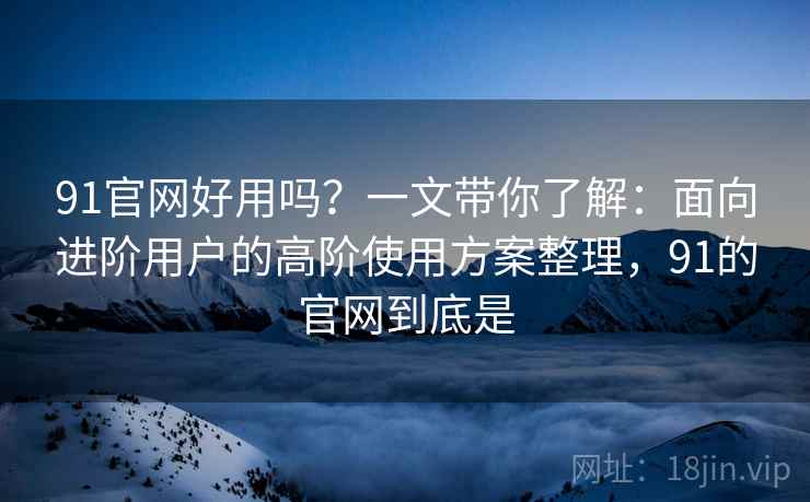 91官网好用吗？一文带你了解：面向进阶用户的高阶使用方案整理，91的官网到底是