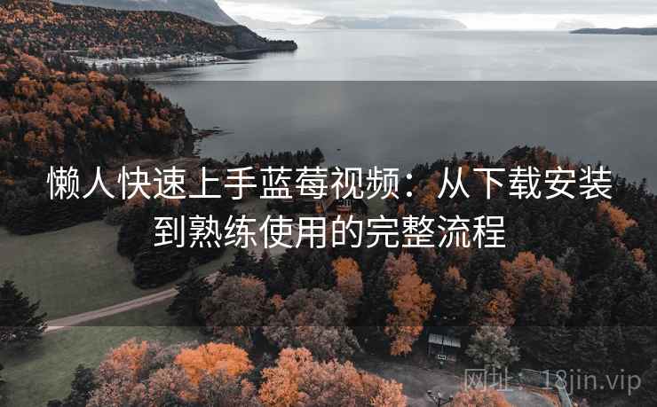 懒人快速上手蓝莓视频:从下载安装到熟练使用的完整流程
