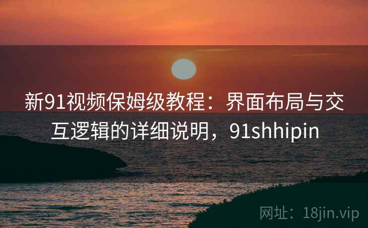 新91视频保姆级教程：界面布局与交互逻辑的详细说明，91shhipin