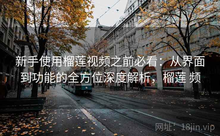 新手使用榴莲视频之前必看：从界面到功能的全方位深度解析，榴莲 频
