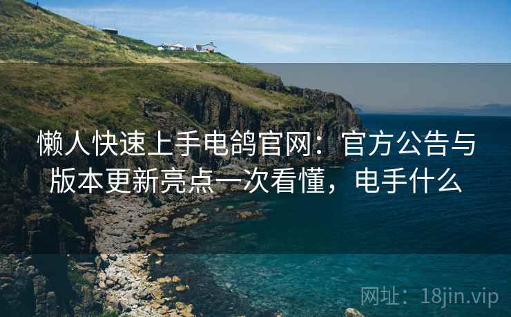 懒人快速上手电鸽官网：官方公告与版本更新亮点一次看懂，电手什么