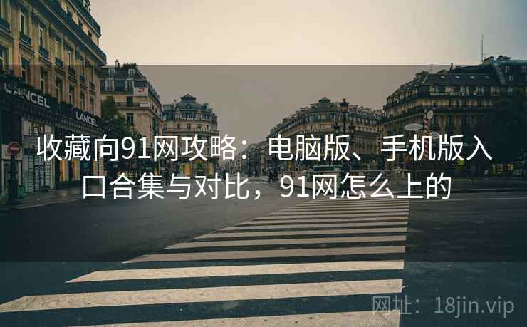 收藏向91网攻略：电脑版、手机版入口合集与对比，91网怎么上的