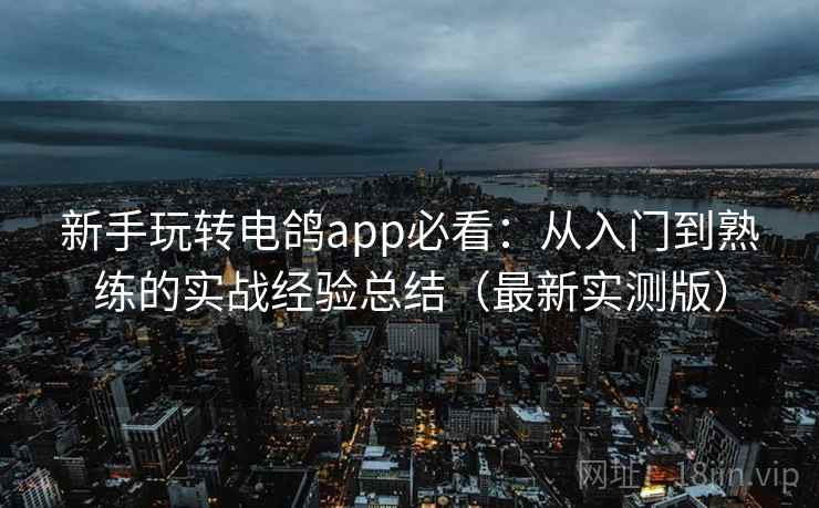 新手玩转电鸽app必看：从入门到熟练的实战经验总结（最新实测版）