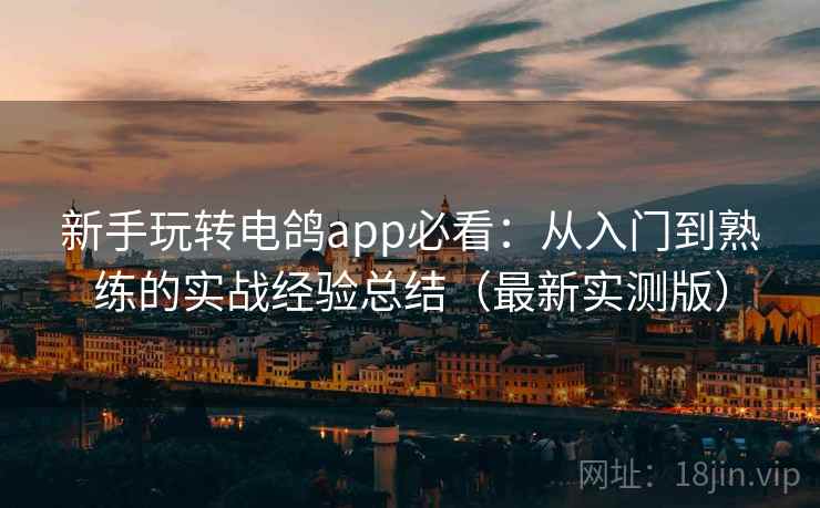 新手玩转电鸽app必看：从入门到熟练的实战经验总结（最新实测版）