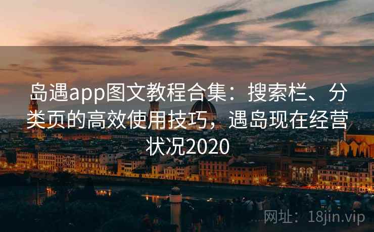 岛遇app图文教程合集：搜索栏、分类页的高效使用技巧，遇岛现在经营状况2020