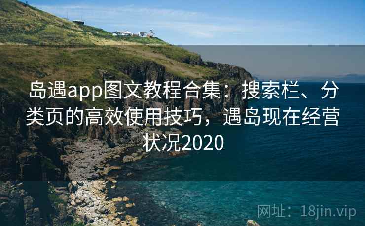 岛遇app图文教程合集：搜索栏、分类页的高效使用技巧，遇岛现在经营状况2020