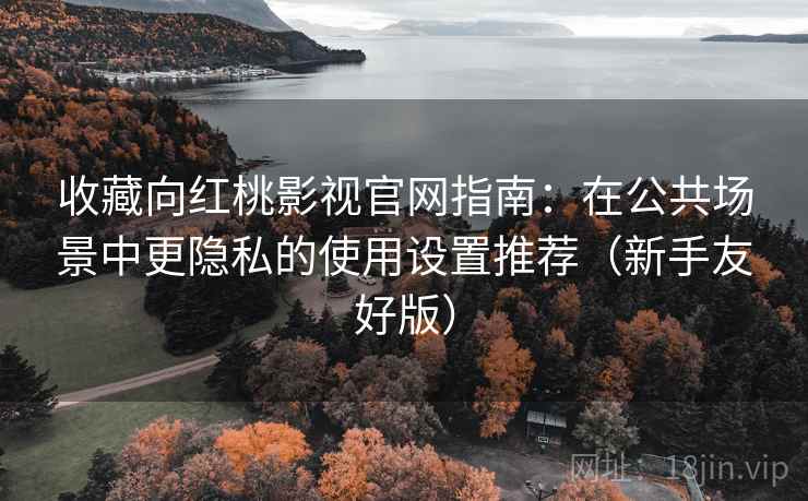 收藏向红桃影视官网指南：在公共场景中更隐私的使用设置推荐（新手友好版）