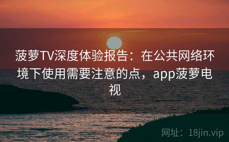 菠萝TV深度体验报告：在公共网络环境下使用需要注意的点，app菠萝电视