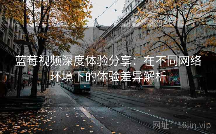 蓝莓视频深度体验分享：在不同网络环境下的体验差异解析