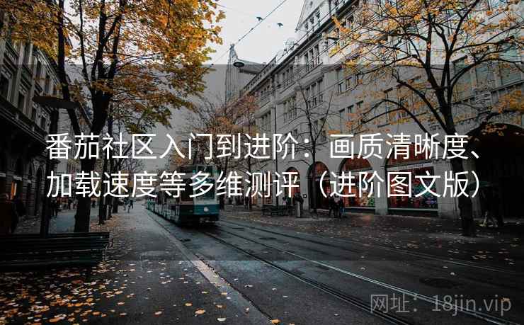 番茄社区入门到进阶：画质清晰度、加载速度等多维测评（进阶图文版）